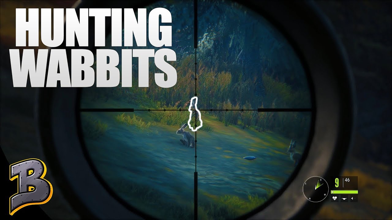 Rabbit Hunting! Brand New Animal To Hunt! -theHunter: Call of the Wild-