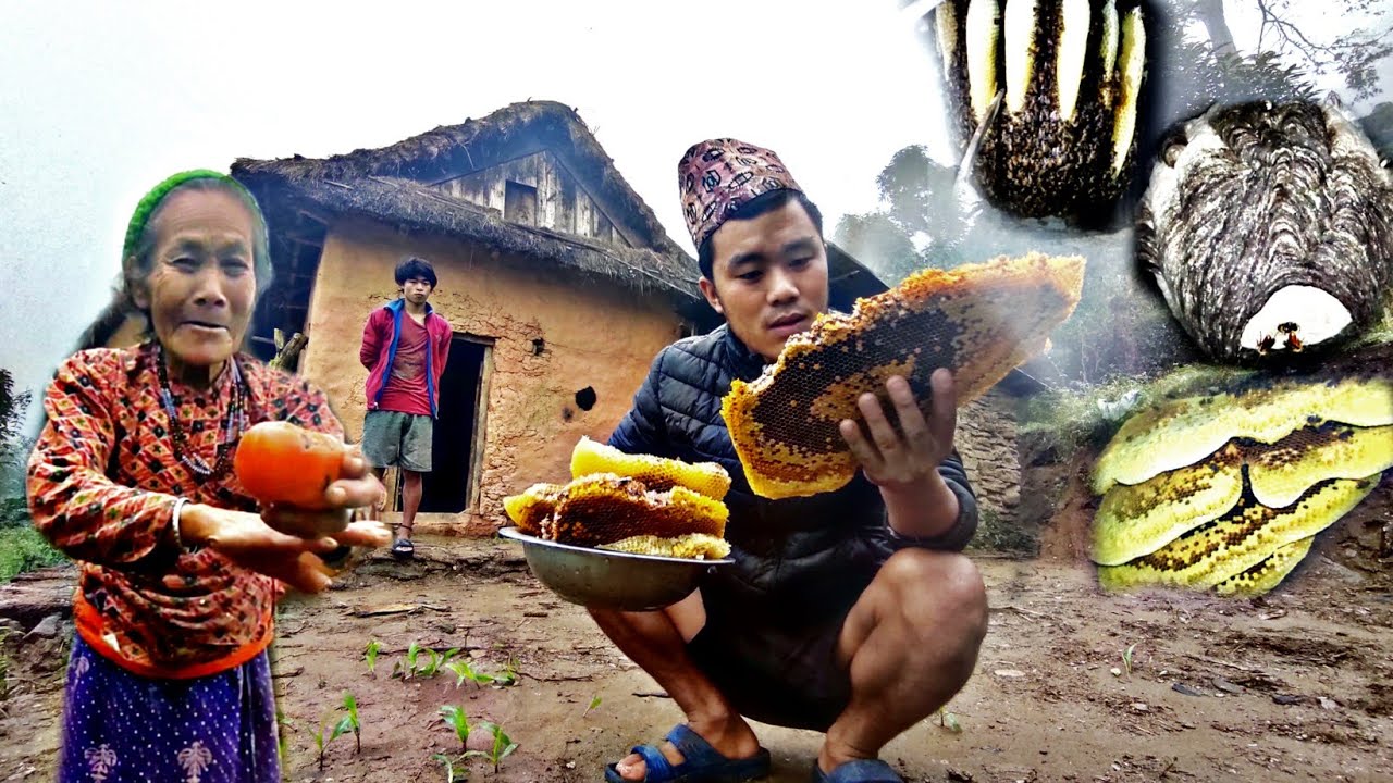 Honey Hunting In Village Nepal | Mountain Village Lifestyle | Traditionally Taking Out Hive Of Bees