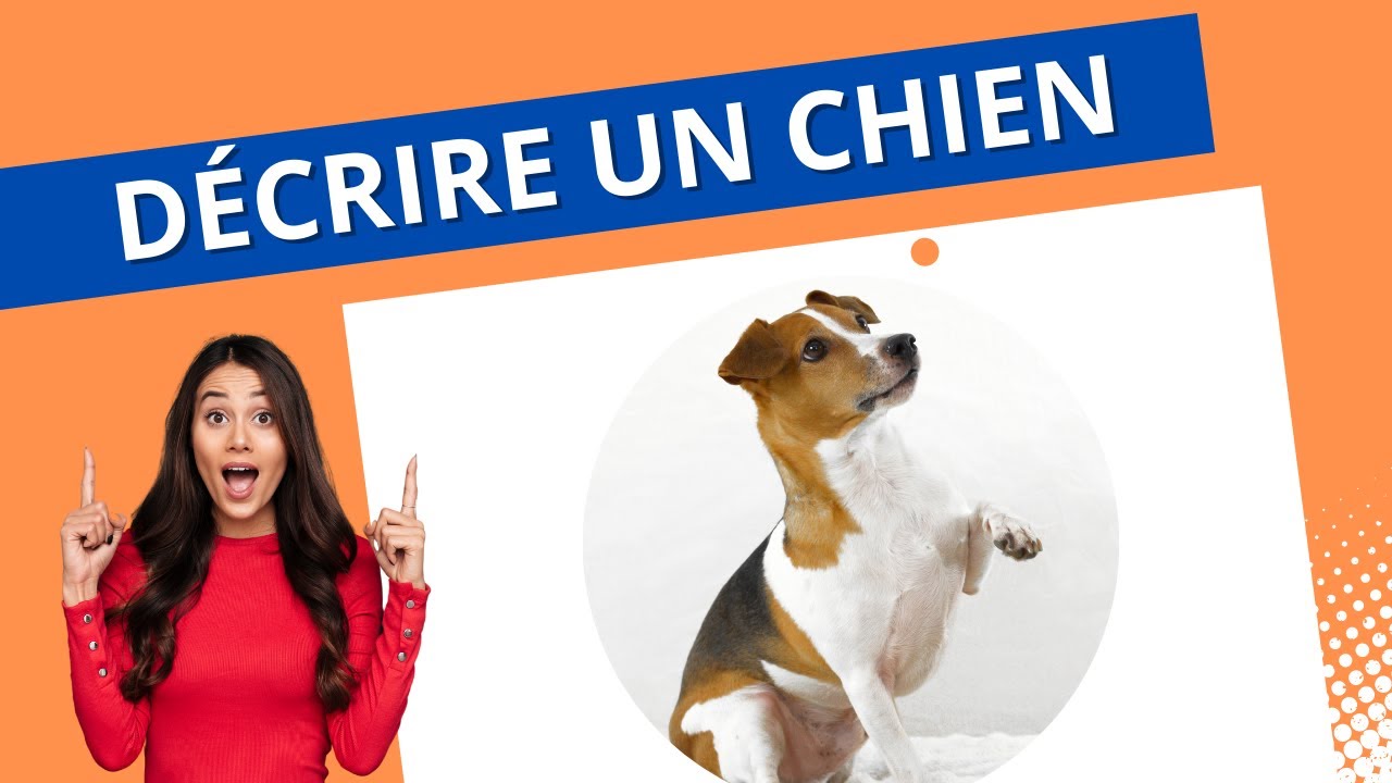 Apprendre à décrire en Français : Décrire un chien