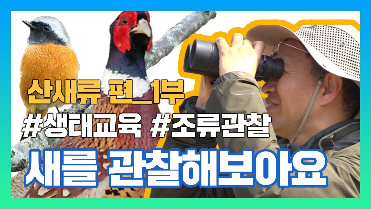 [국립생태원] 생태교육_새들을 관찰해보아요_1부