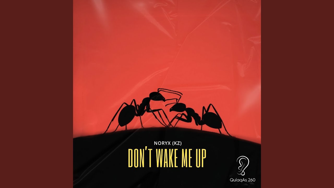 Don’t Wake Me Up (Radio Edit)