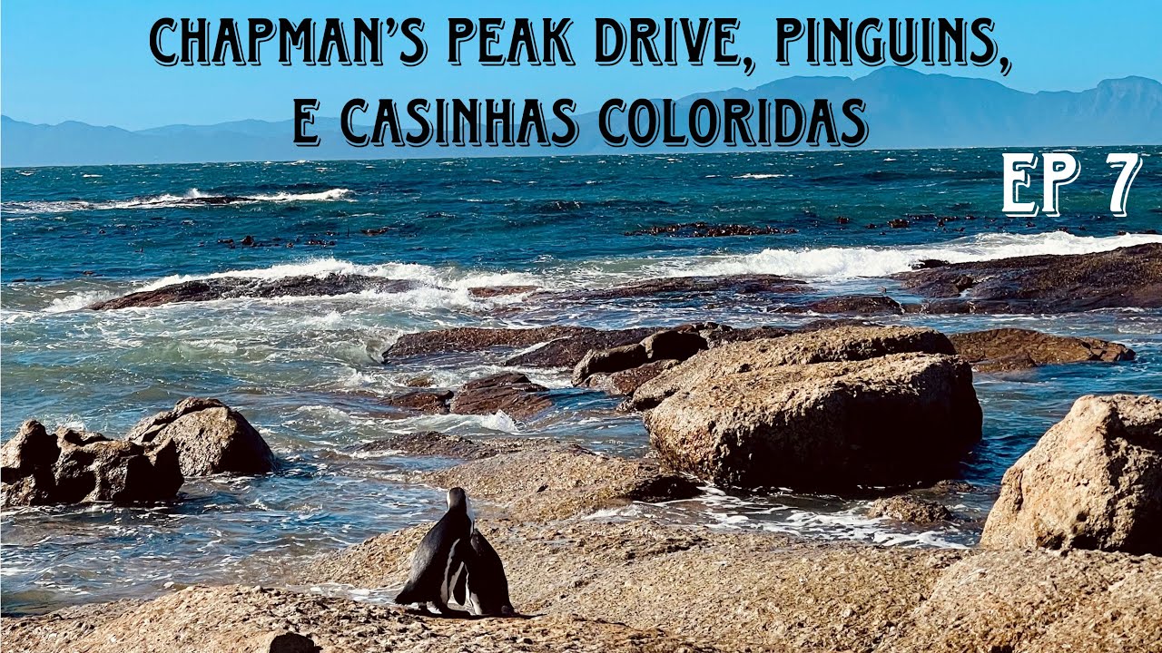 Pinguins, Chapman’s Peak e Cabo da Boa Esperança | Roteiro em Cape Town