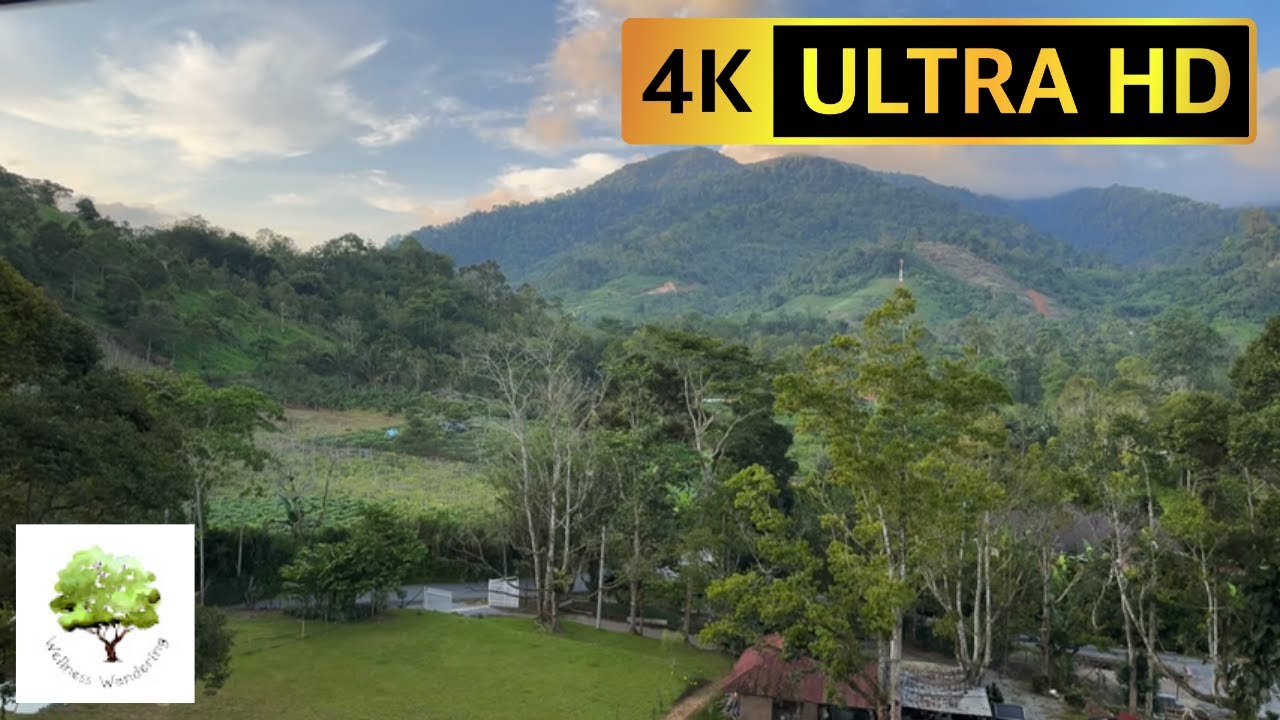 Serene 4k Nature Asmr Experience Just Outside Kuala Lumpur, Malaysia