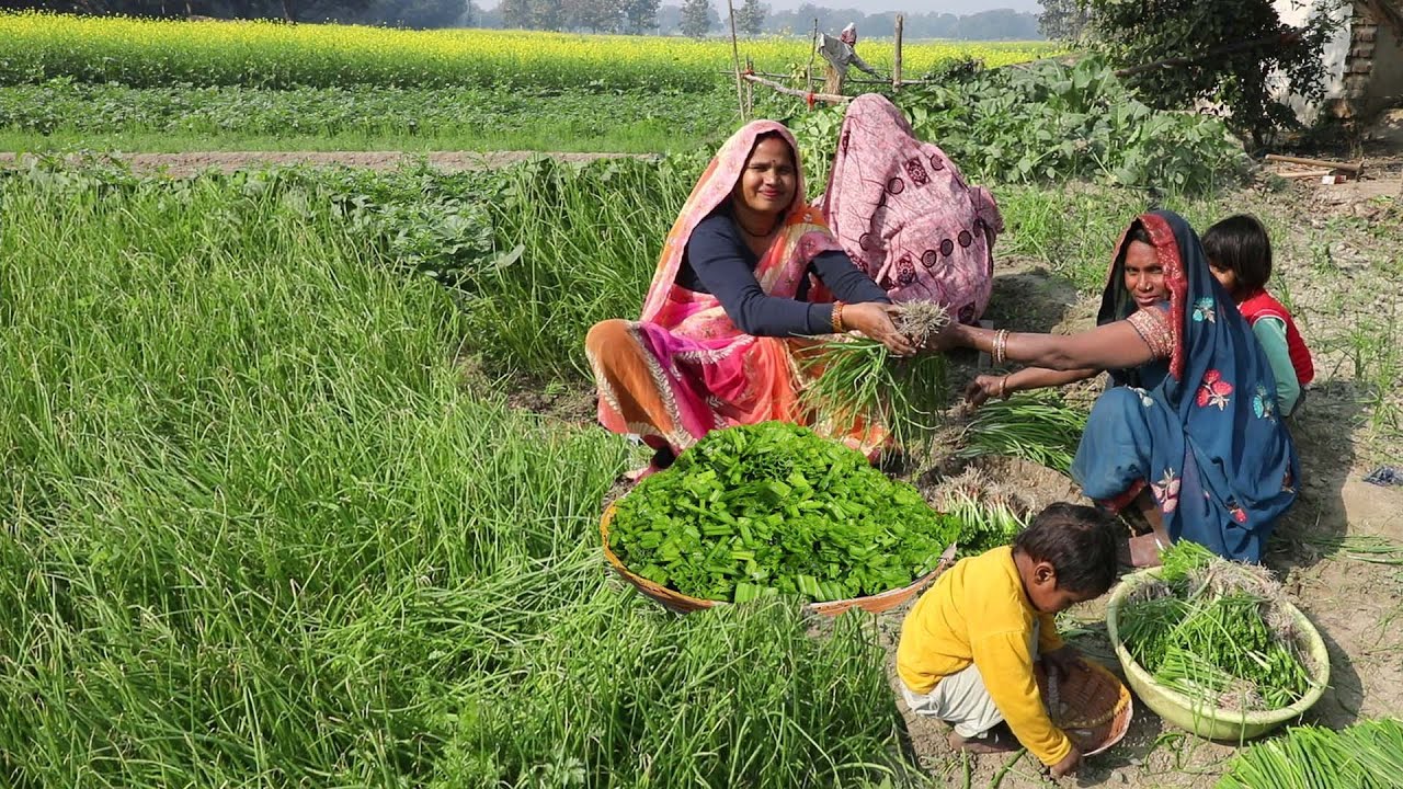प्याज के बेहन की रेसिपी जिसे खाकर उंगलिया चाटते रहे जाओगे || Hare Pyaz Ki Sabji