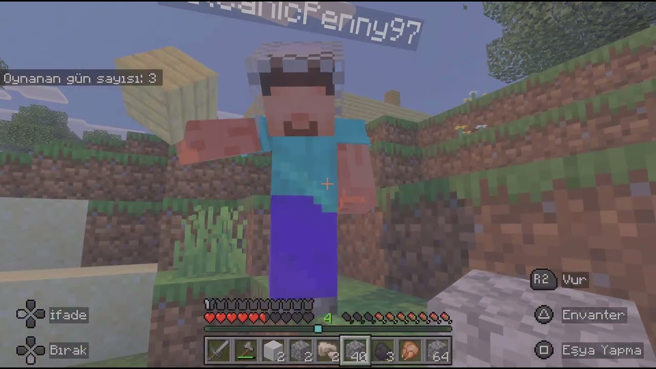 Minecraft