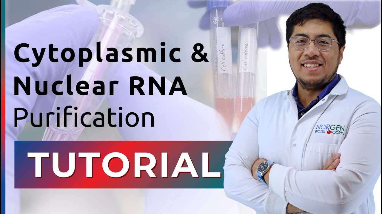 RNA Purification Tutorial - Cytoplasmic and Nuclear RNA