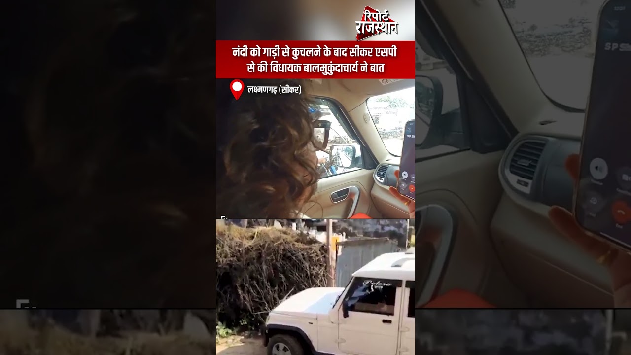 सीकर | नंदी कुचलने की घटना पर विधायक की हस्तक्षेप | Report Rajasthan