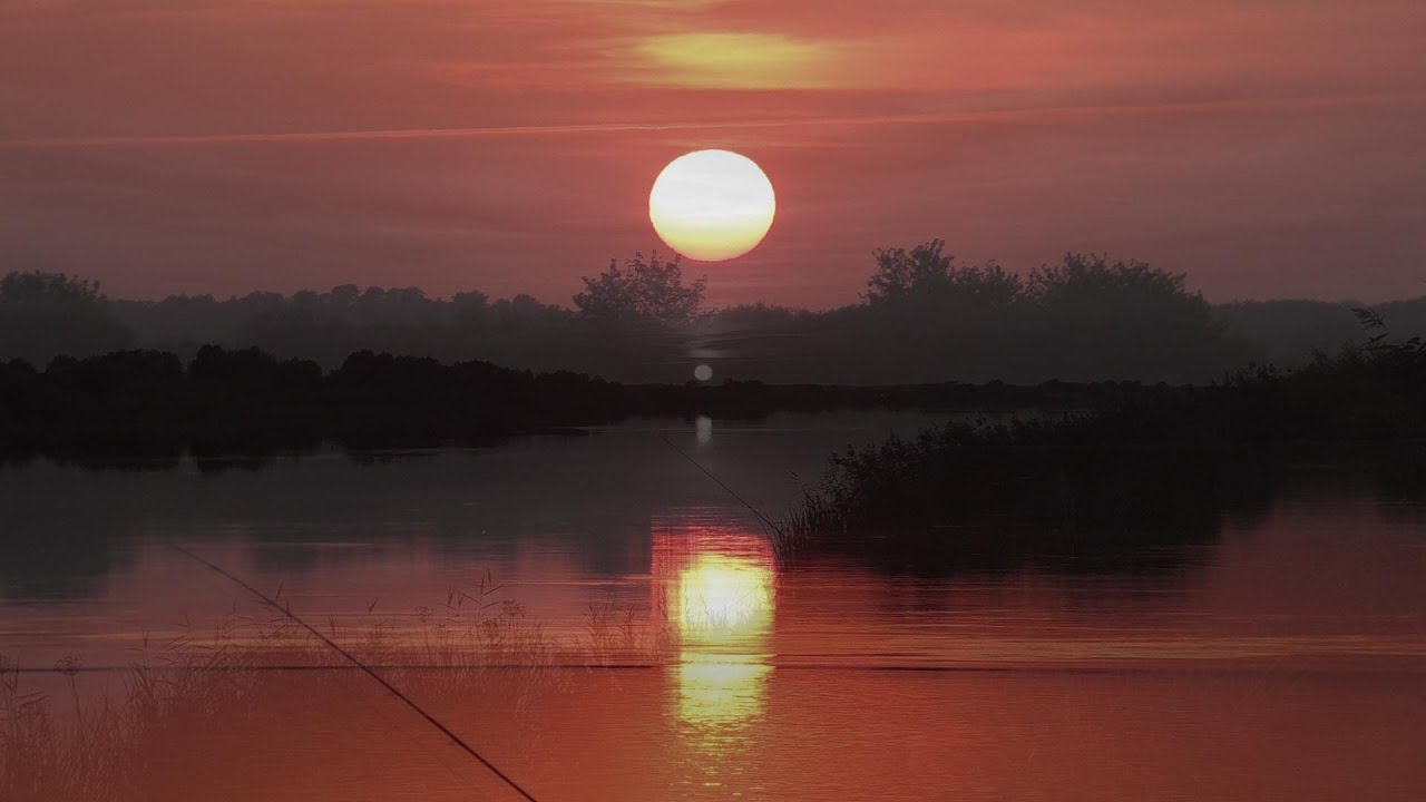 Sazanų ir karšių Eldorado:) Ir kaip naujos dambos gadina Nemuna:( 1 (dalis)