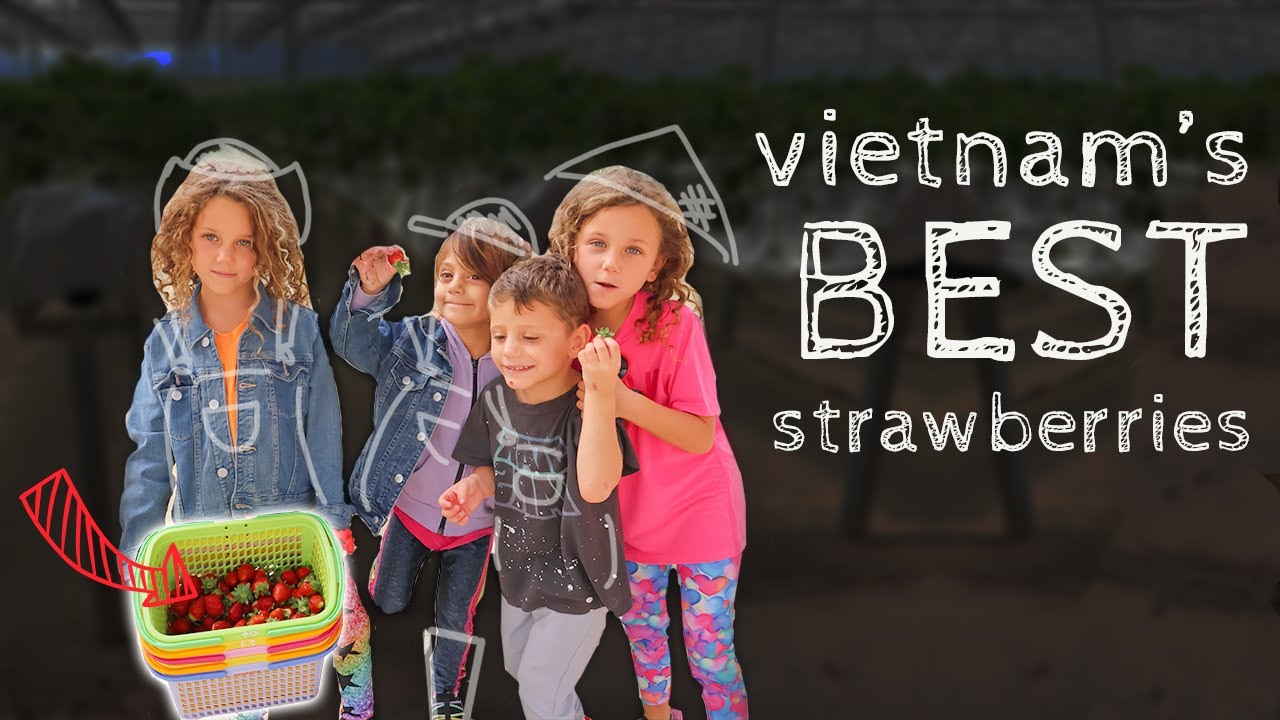 Top 5 Things to Do in Dalat With Kids (we DIDN&rsquo;T expect this!)