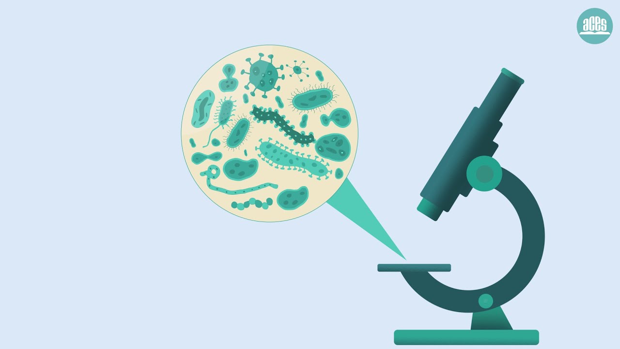 &iquest;Qu&eacute; son los antibi&oacute;ticos y para qu&eacute; sirven? | Ciencias Naturales C