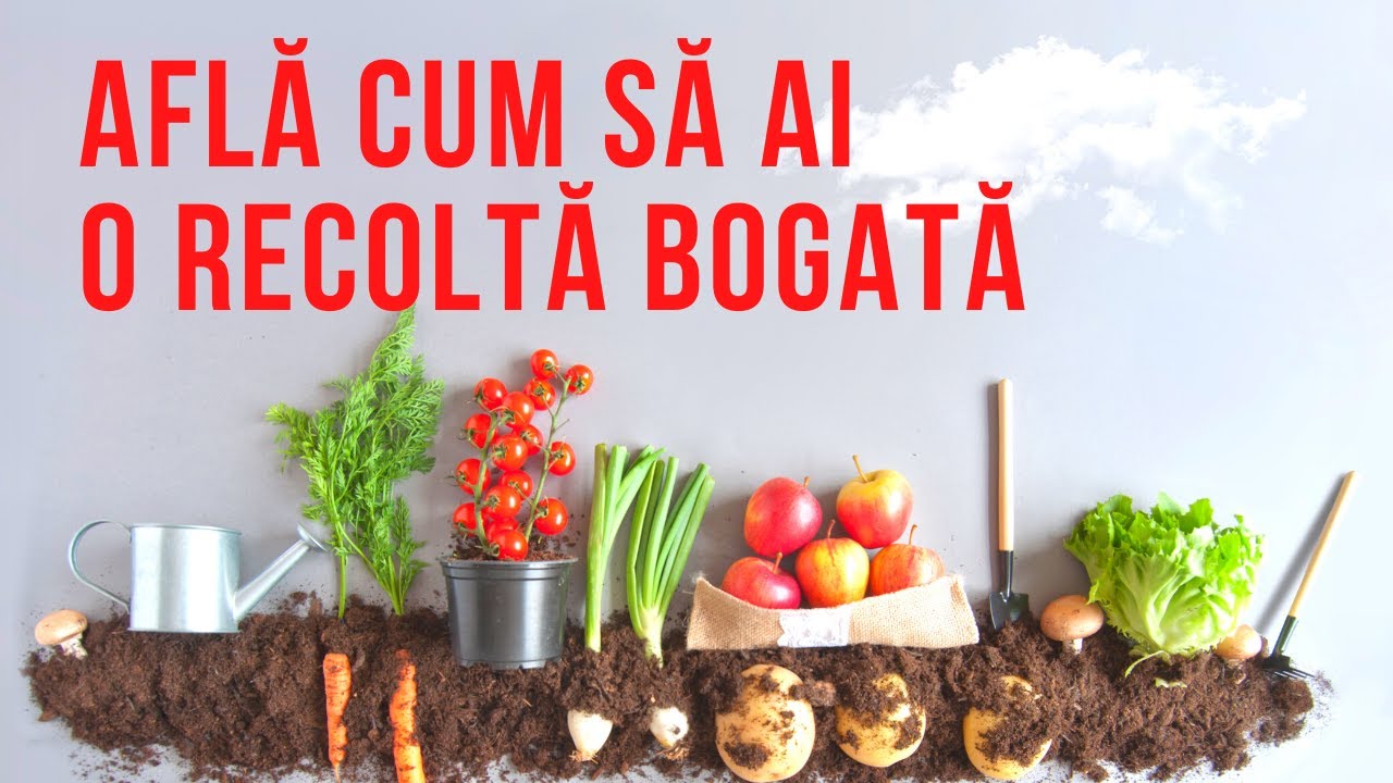 CUM SA AI RECOLTA BOGATA | Secretele producatorilor de legume si flori | VIATA IN GRADINA