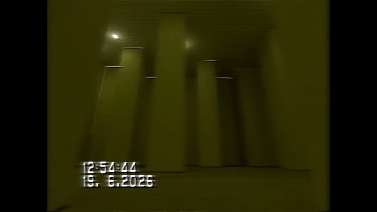 Survivor || VHS