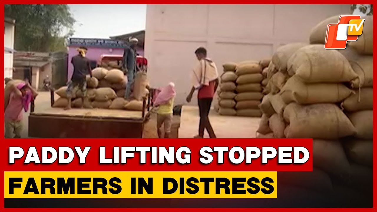 Paddy Procurement Hit As Millers&rsquo; Protest Halts Lifting In Odisha&rsquo;s Bolangir