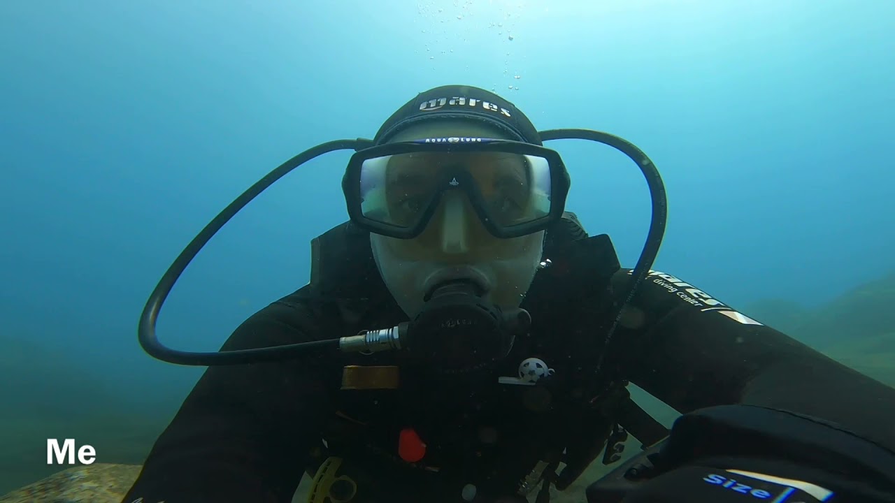 Madeira Divepoint - House Reef
