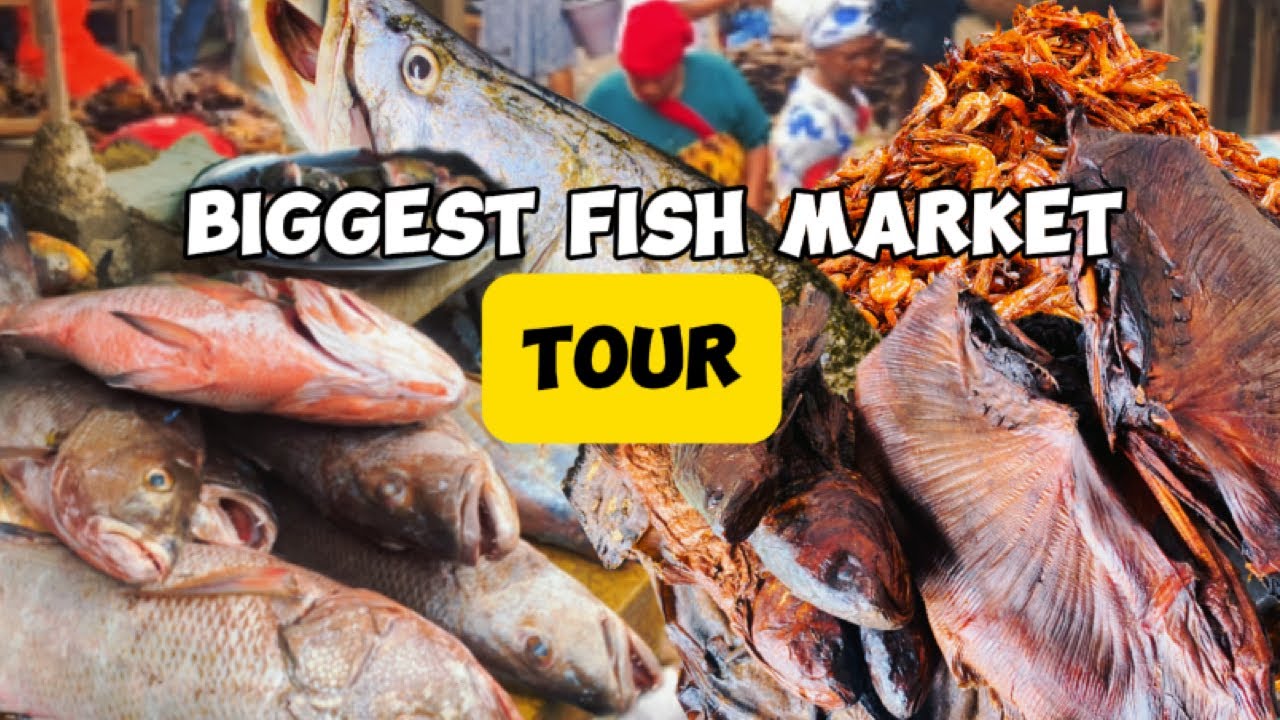 Millionaires Are Raised In This Delta Fish Market 🇳🇬#smallbusiness
