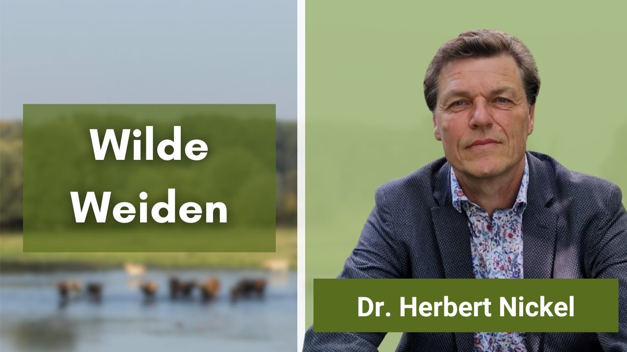 Wilde Weiden: Mehr Biodiversität in der Landschaft dank großer Weidetiere