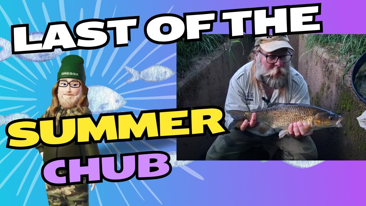 Last of the Summer Chub