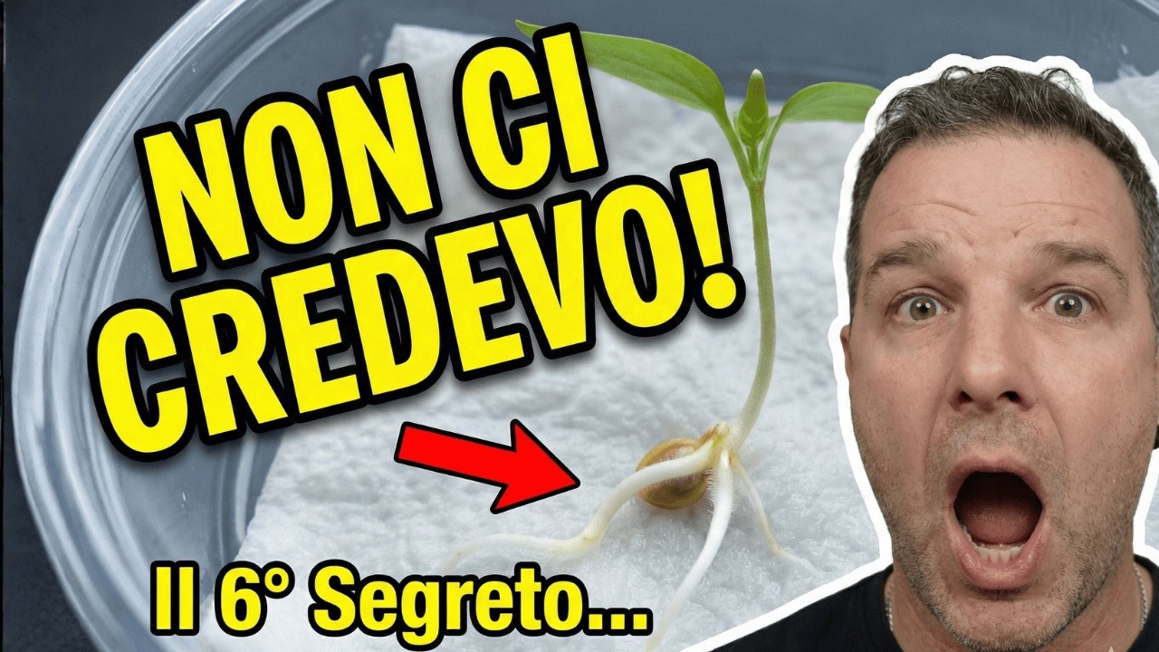 Germinazione 2026: La Checklist Completa in 9 Punti (Tutto quello che devi sapere)