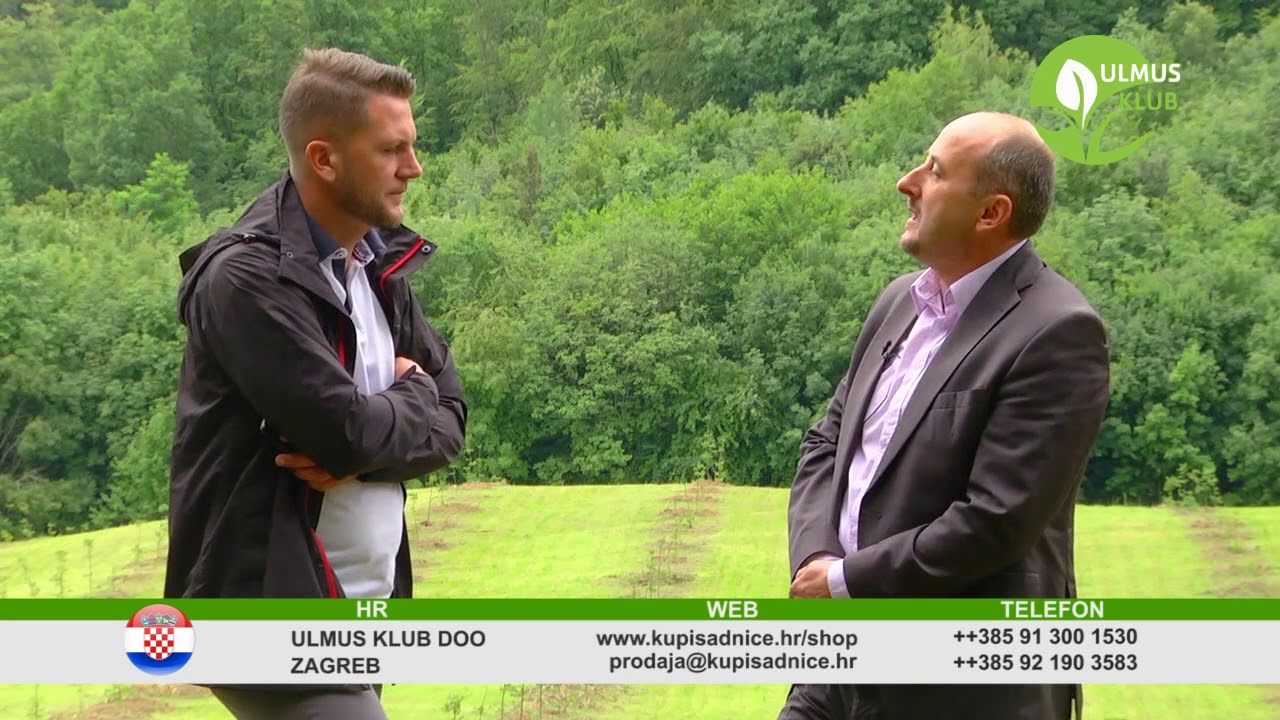 PLANTAŽE  ORAHA CHANDLER Sanski Most - vl. Dragan Stanar