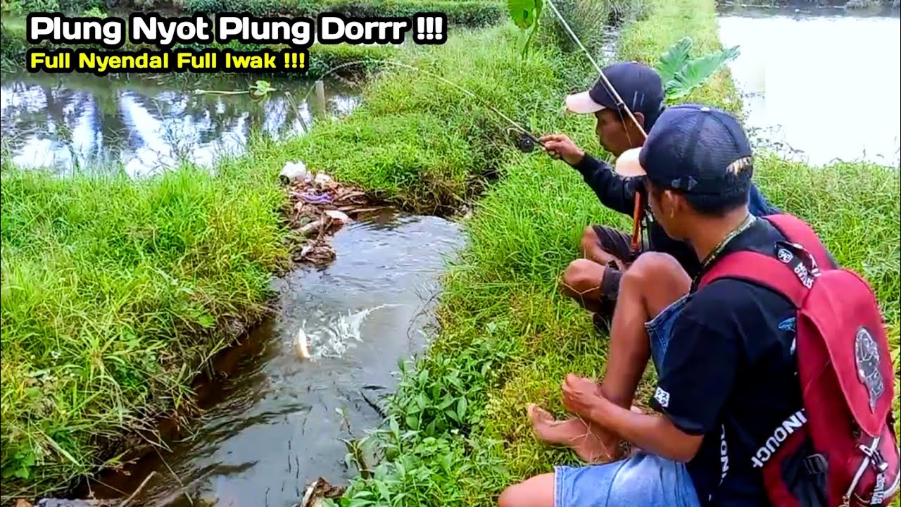 Full Nyendal !! Mancing di selokan bareng syakur nyendal maning ikan nya banyak bikin lupa pulang