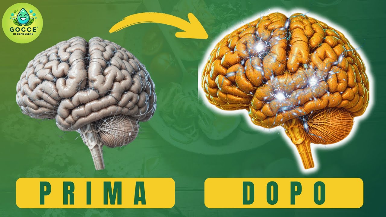 Attiva il 100% del Tuo Potenziale Cerebrale con Questi 7 Esercizi Potenti