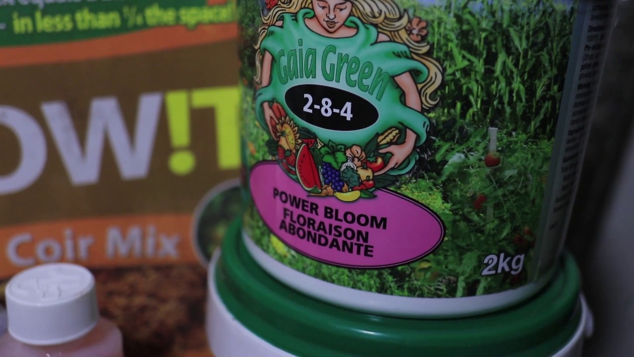 Wecome to the grow room!
