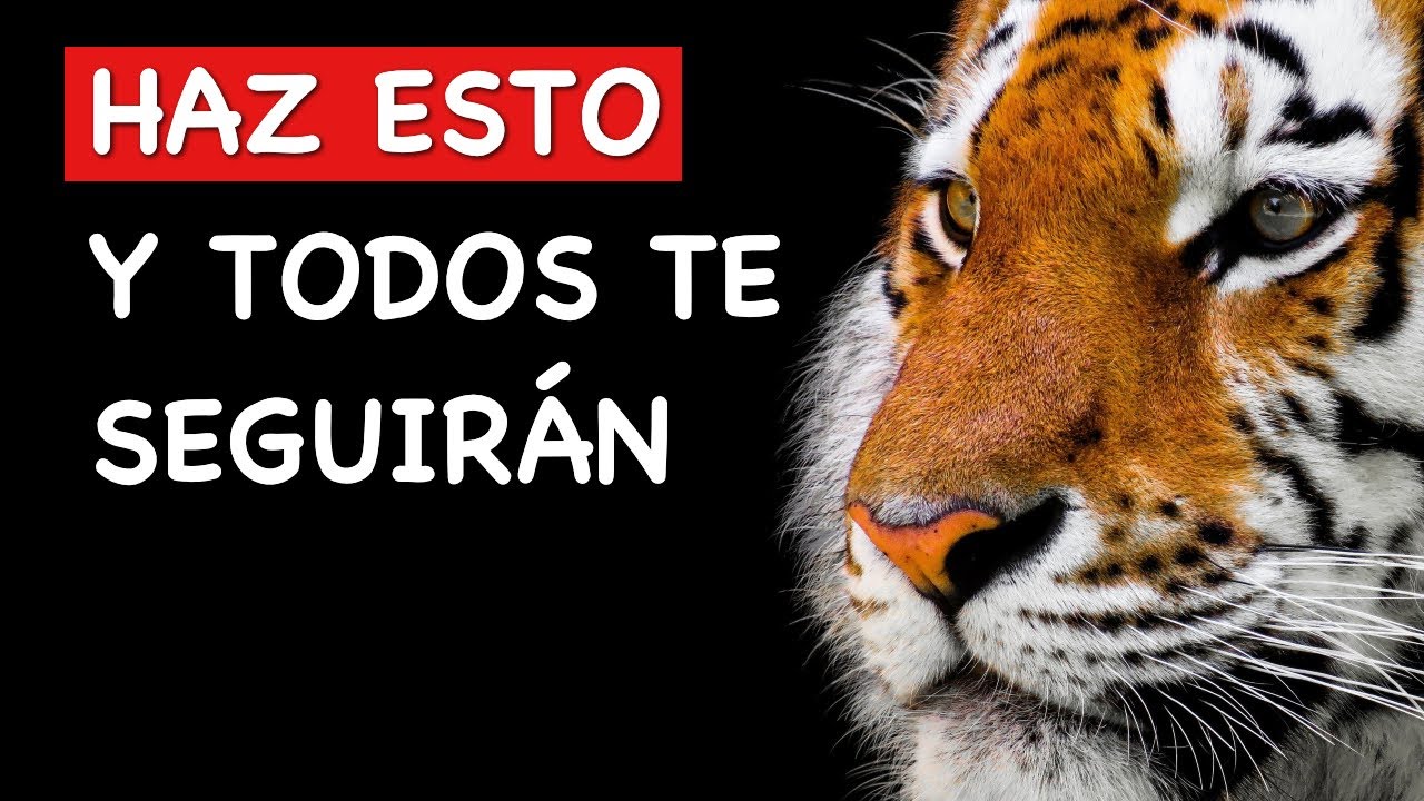 Cada BUEN líder debería aplicar estas REGLAS