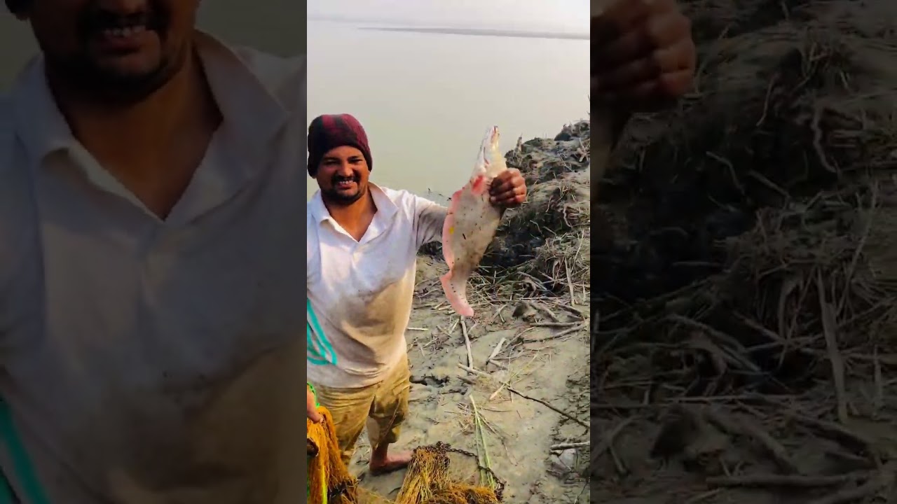 Fishing big fish with net🐠🐟#foryoutube #foryou #bigfish #vlog #river #trending 
