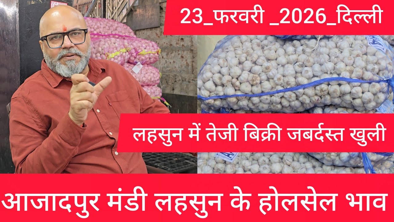 23 February 2026 दिल्ली 🧄 लहसुन के भाव Azadpur delhi mandi today garlic market price #garlicmarket