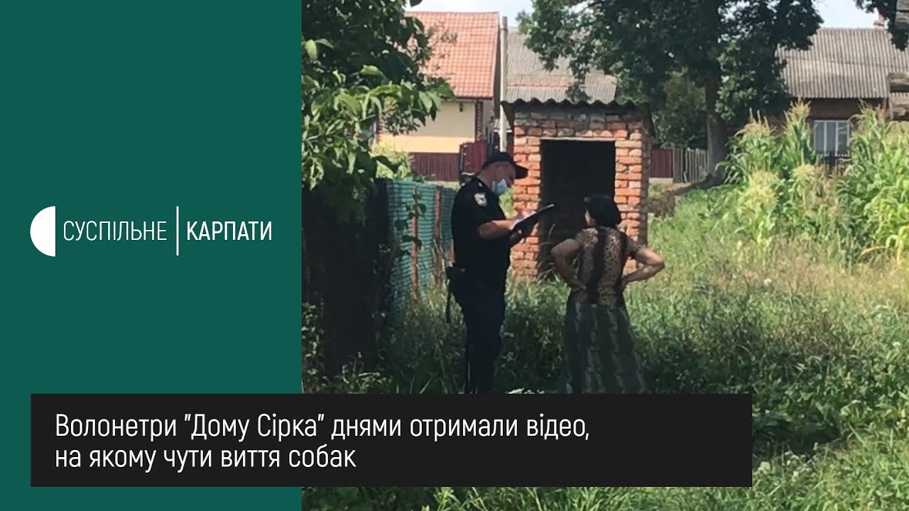 У Тлумачі на Прикарпатті жінку звинувачують у жорстокому поводженні з собаками