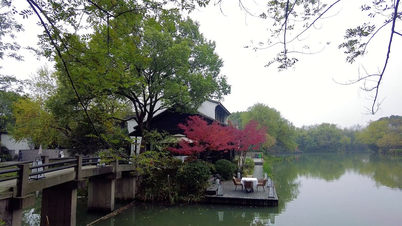 China : Lost in the Calm of Xixi Wetland Park Hangzhou