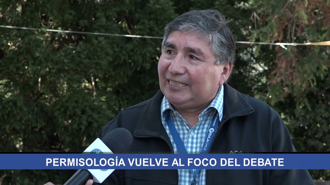 ¿Qué es el SEA y qué pasará con proyectos pendientes?