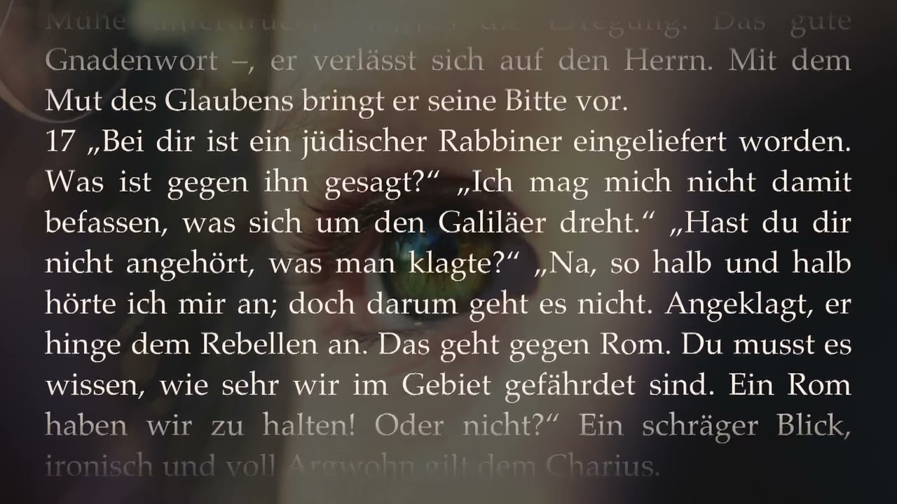 Anita Wolf - Wenn ihr nicht werdet wie die Kinder. Kapitel 11 - Neues großes Unrecht. Auch Römer ...