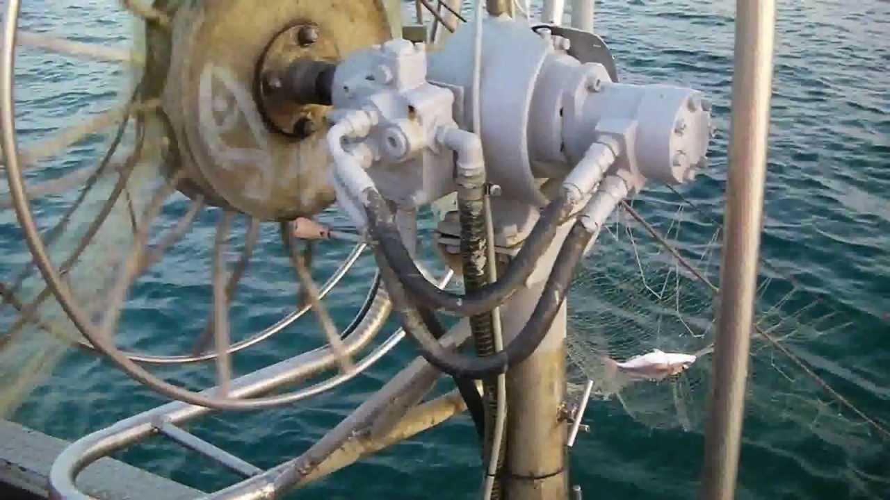 PESCATURISMO NEL MARE DI ANZIO - Motopesca LUMACHELLA