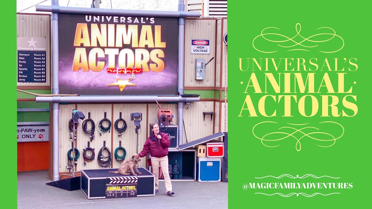 Universal Studios Hollywood Animal Actors Live Show ​⁠at Universal Studios Hollywood 2023