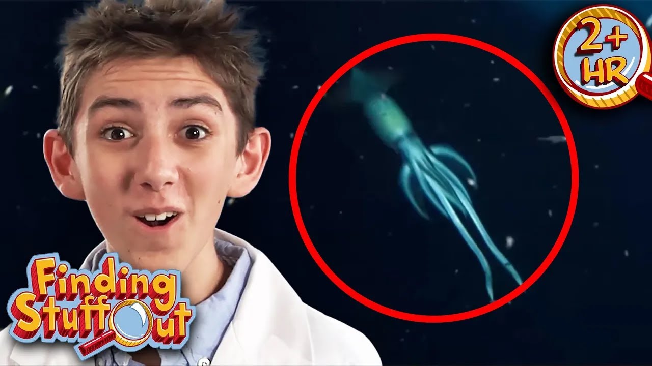 Discovering The Deep Ocean Secrets | Finding Stuff Out | 9 Story Fun