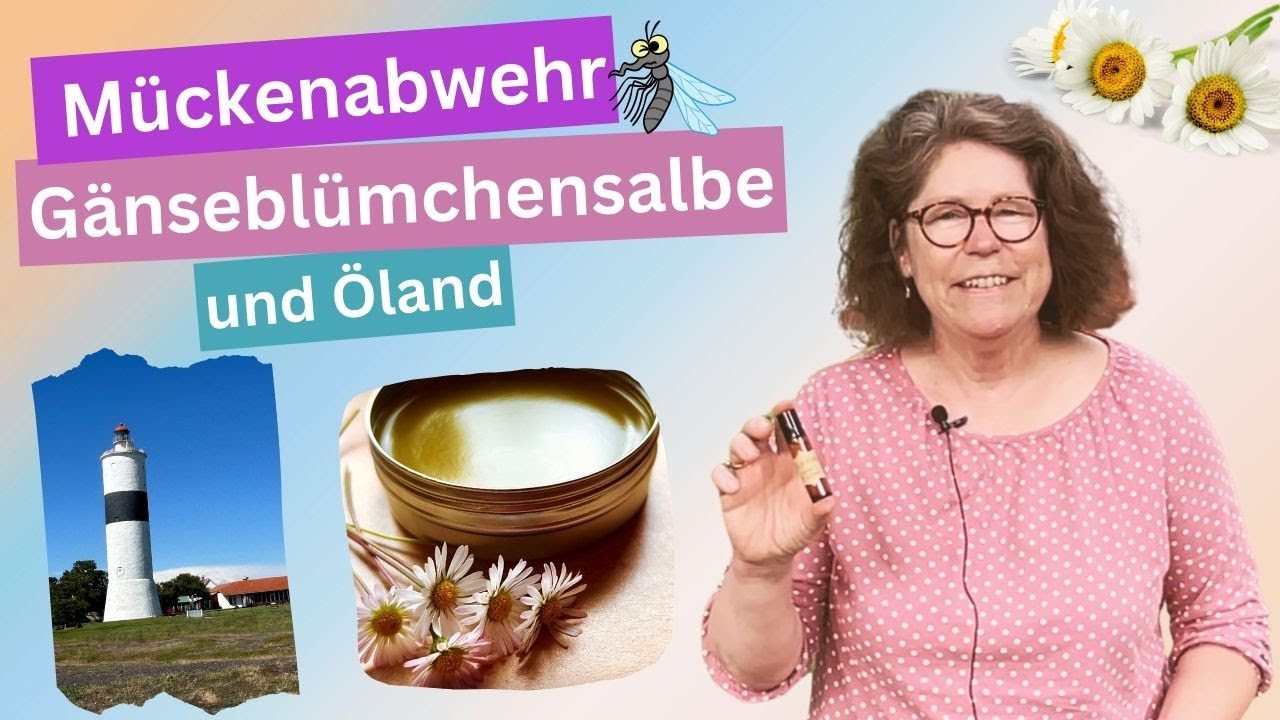#diy  SELBSTGEMACHT: 🌼GÄNSEBLÜMCHENSALBE, PFEFFERMINZÖL UND MEE(H)R