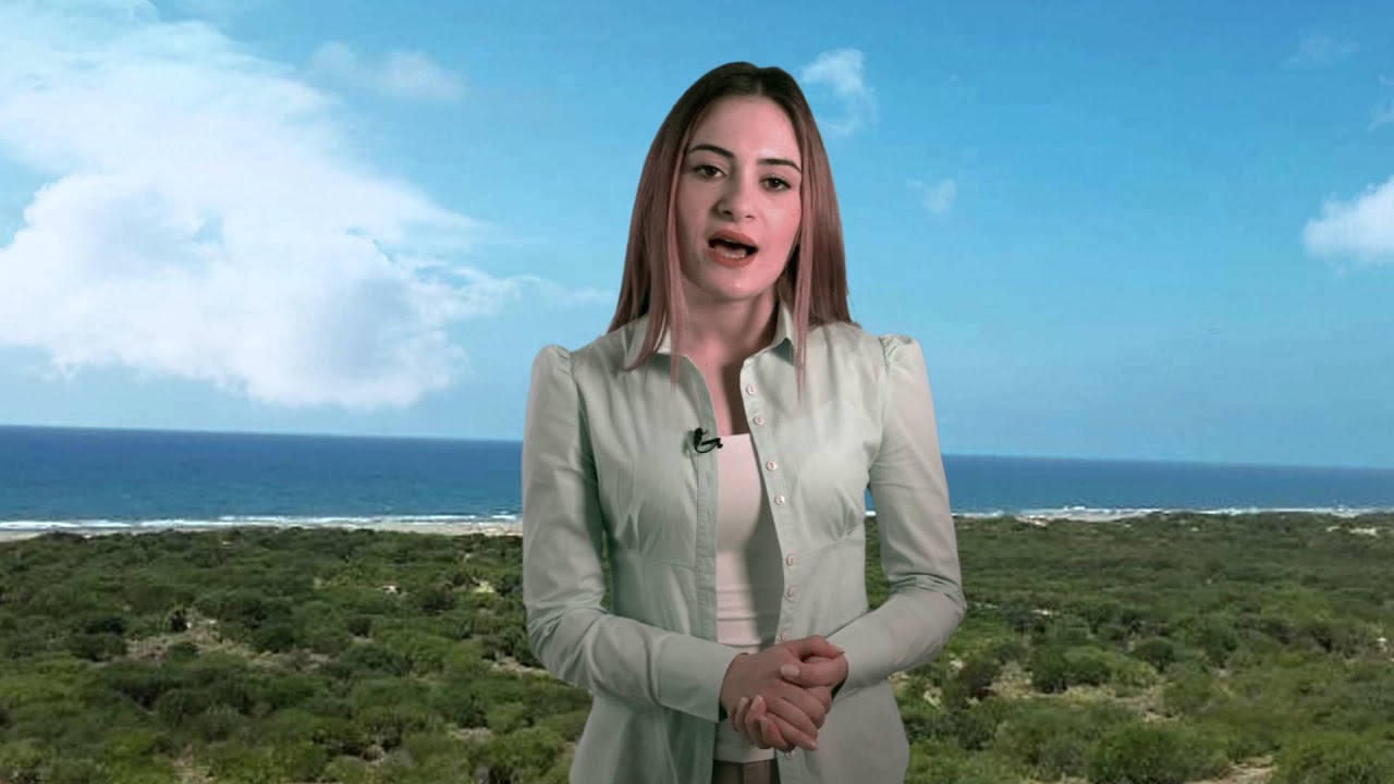 Bölüm 1: Kısım 1: Avrupa Birliği hibe fonlarına başvurmak