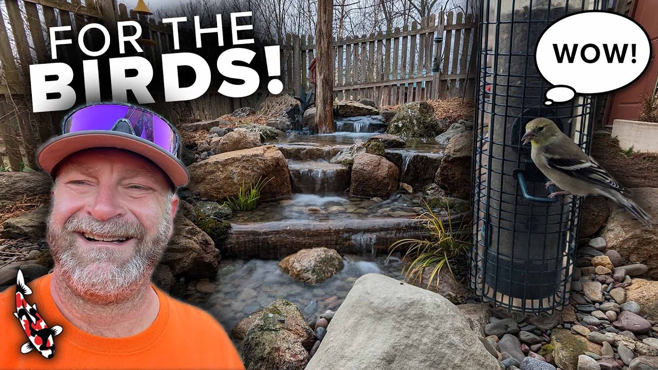 Building a Pondless Waterfall For Birds!