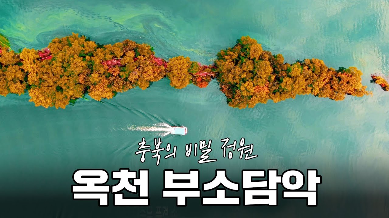 부소담악-충북의 비밀 정원(영어 나래이션/한글자막)