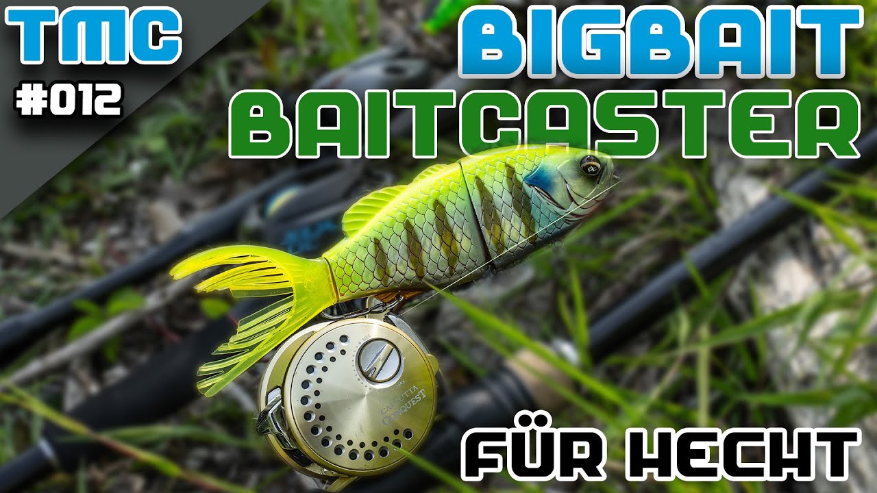 BIGBAIT Baitcaster für Hecht | TackleTalkMitChris #012