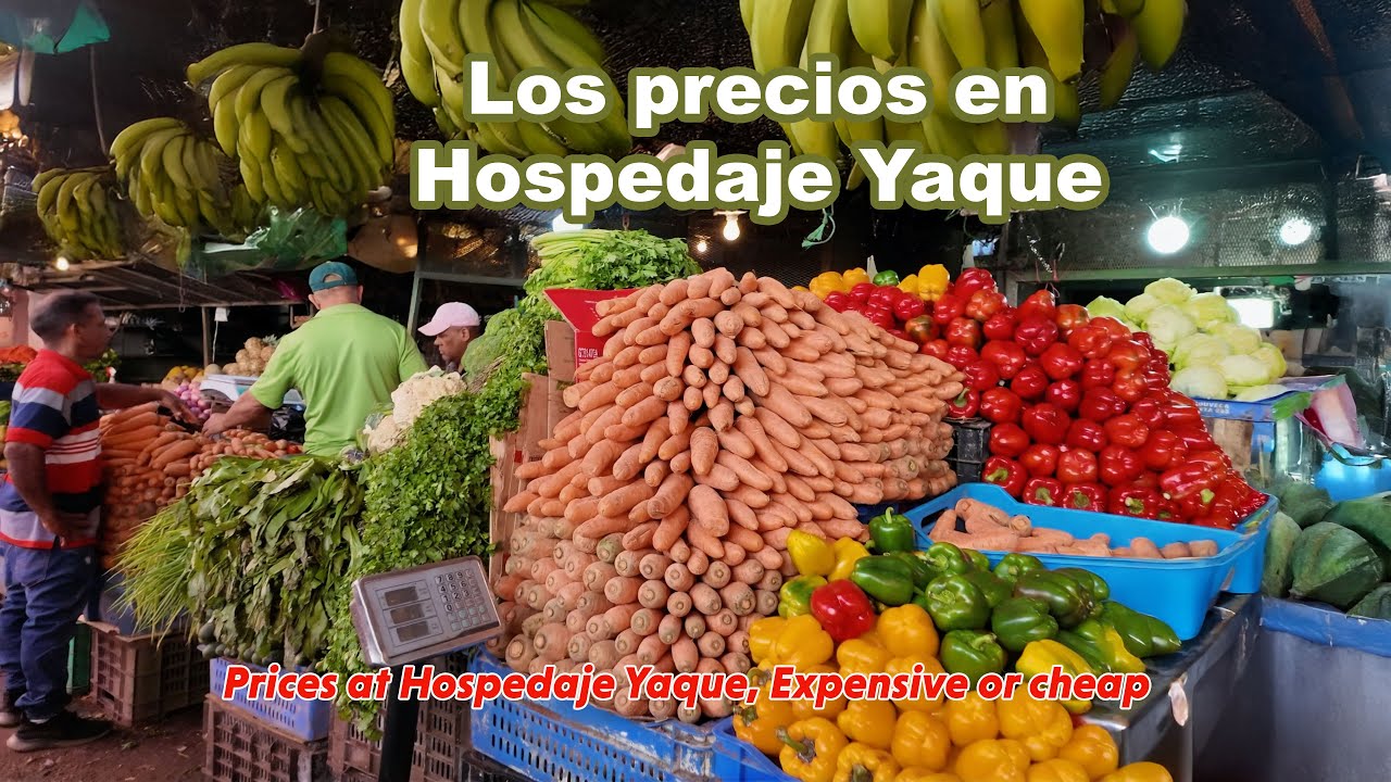 Mercado de Frutas, verduras y víveres más grande en República Dominicana -El Hospedaje Yaque