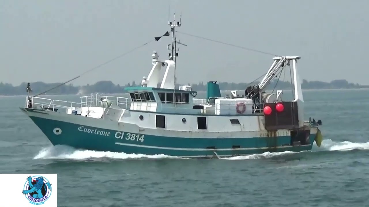 LUIGINO PELÀ, DIRETTORE DEL MERCATO ITTICO DI PILA, SIAMO AL LUMICINO, ORA RISCHIAMO ...