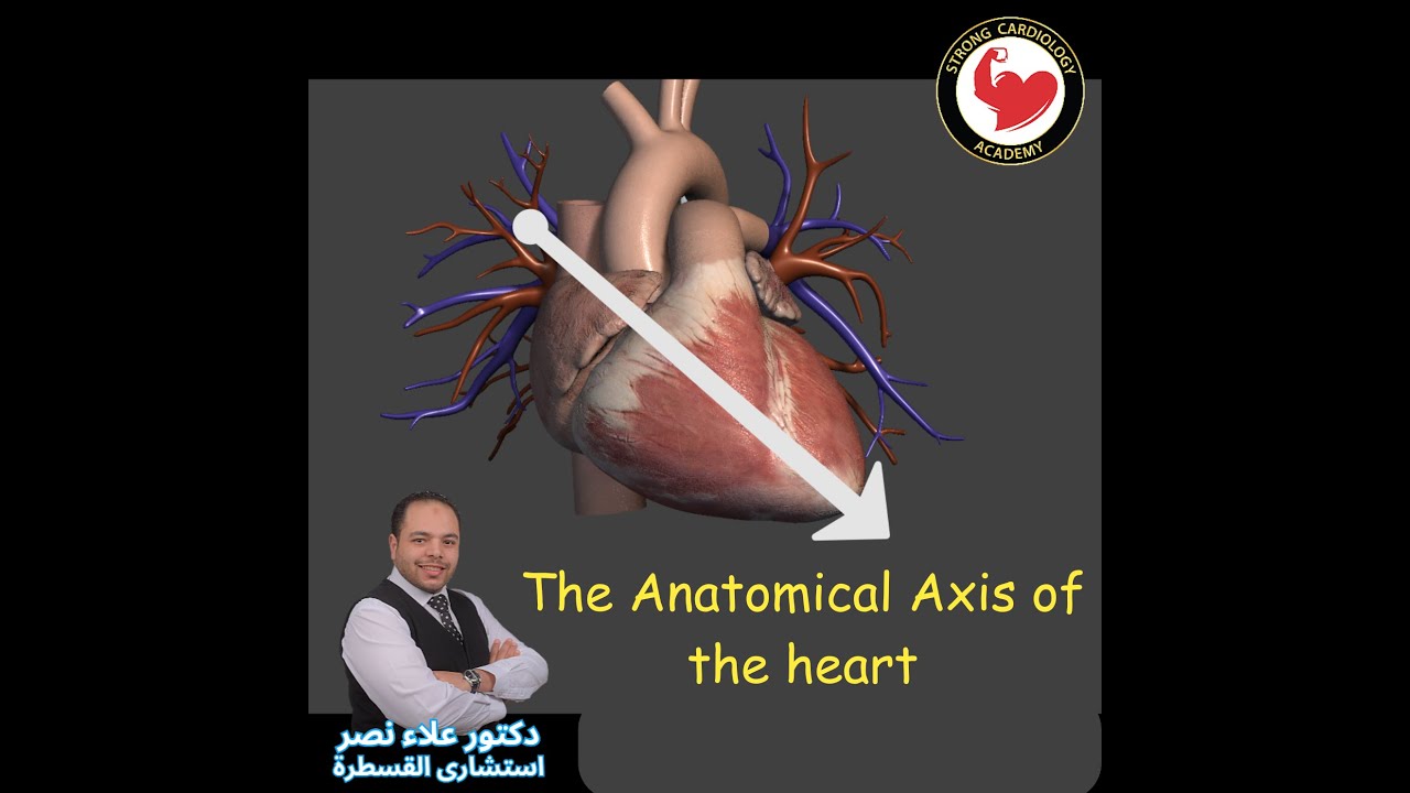 Anatmical Axis of the Heart, Dr Alaa Nasr, 2026