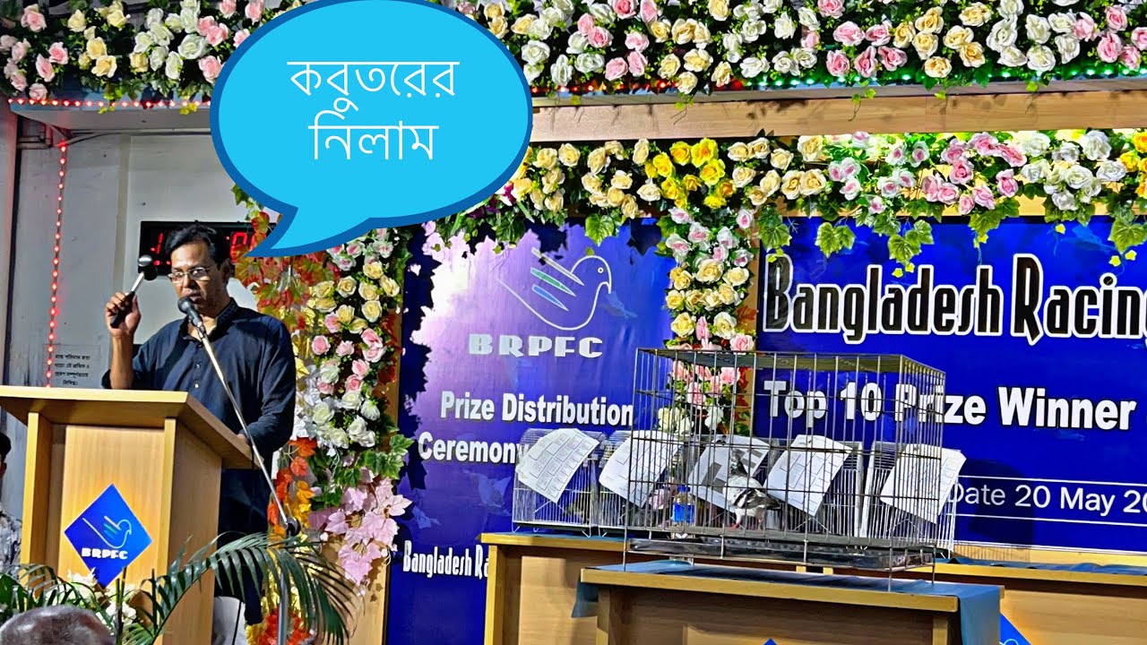 BRPFC লাইভ রেসার কবুতরের নিলাম। 💎বাংলাদেশের সব নামিদামী রেজাল্ট করা কবুতরের সমাহার। 💥🎉❤️
