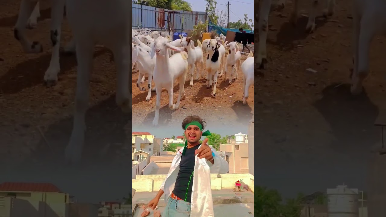 Muharram song &bull;Ghar jaenge ☪️💚#viralvideo#shorts#Muharram#viralvideo #allah #youtubeshorts