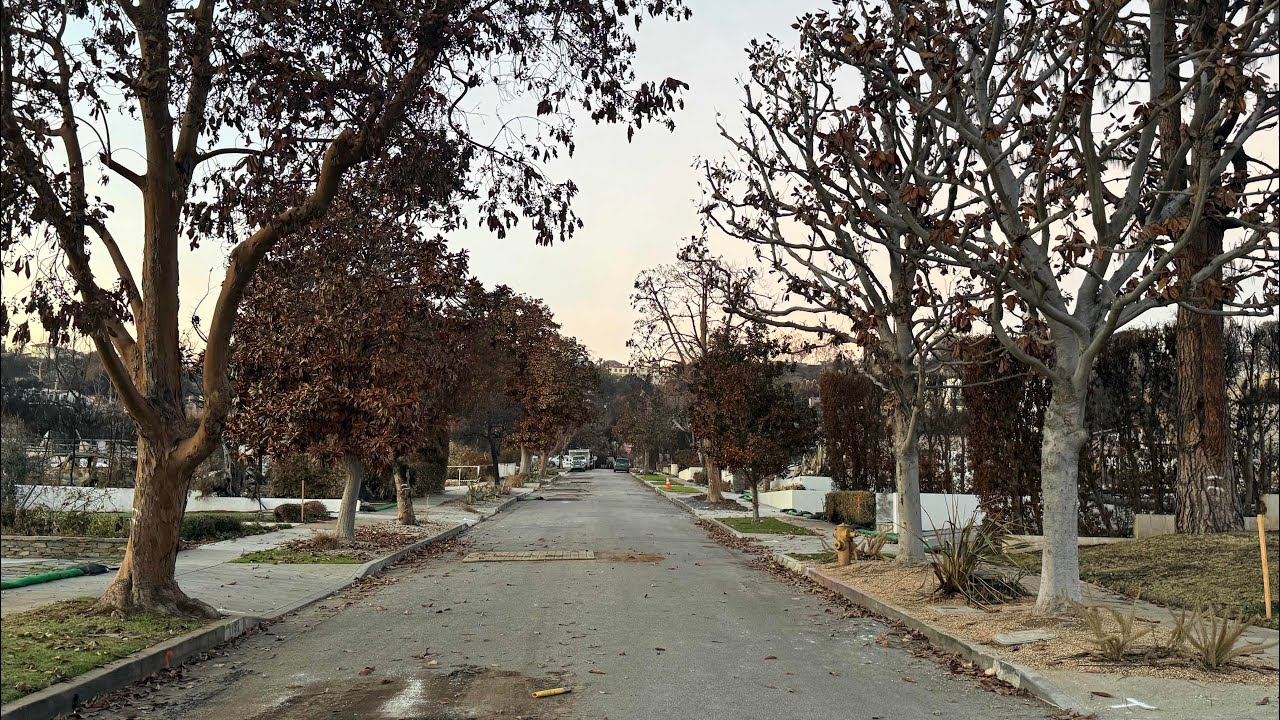 Palisades Fire – Full LACoFD V-1 Radio Traffic (January 7, 2025 | 10:41AM–11:59PM)