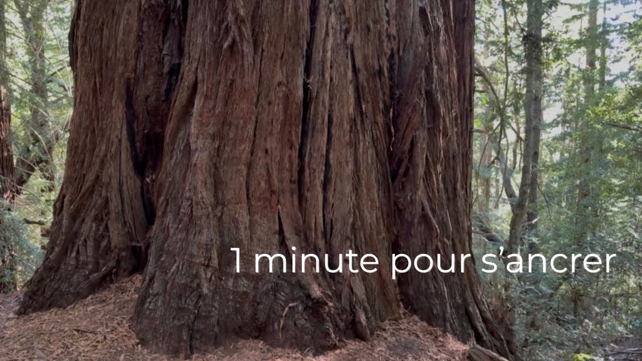 Pause d’ancrage guidée 1 minute | Respiration consciente & affirmation | Pause du Lundi
