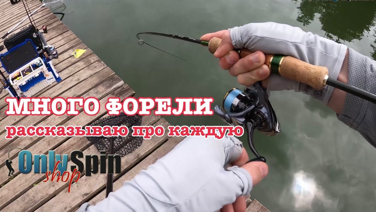 Ловля ФОРЕЛИ. Спортивные хитрости. Кубок МФК. Рыбалка с #OnlySpin
