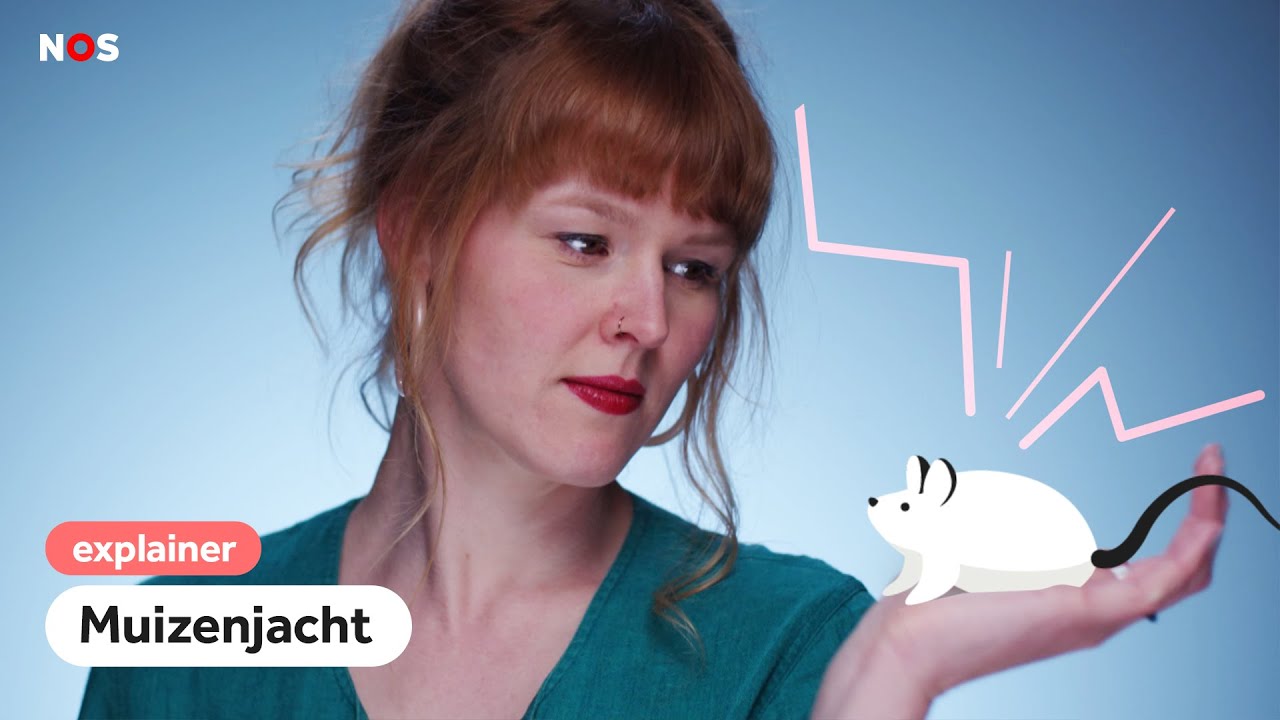 Hoe de jacht op een vaccin nu ook een muizenjacht is